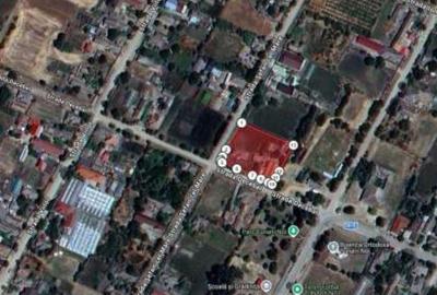 Casă cu 3 camere cu Teren 2329 Mp în Caraula - 3