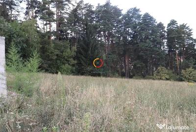 Teren de 1195 mp, în Poiana Angelescu - 7