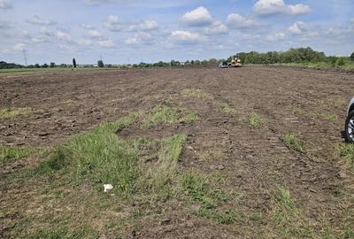 Teren Construcții intravilan de 601 mp, în Dumbrăvița - 3
