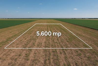 Teren de 5600 mp, în Daia Română