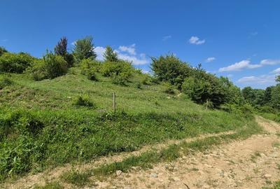 Teren agricol extravilan de 7800 mp, în Tohanu Nou - 2
