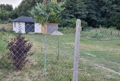Casă cu 2 camere cu Teren 1030 Mp în Budeasa - 6