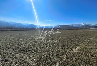 Teren agricol extravilan de 2800 mp, în Tălmaciu - 5
