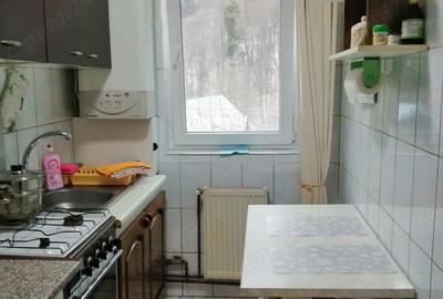 Apartament cu 3 camere decomandat în Valea Azugii - 4