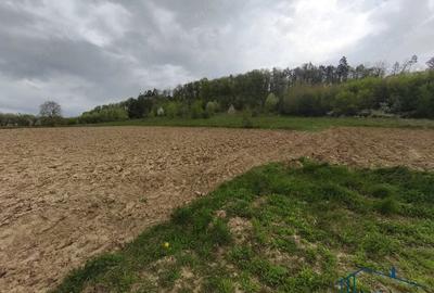 Teren de 8300 mp, în Măriței