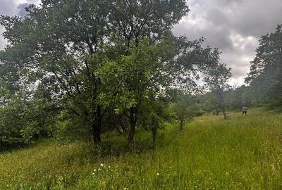 Teren de 30 mp, în Preluca Veche - 5
