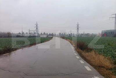 Teren de 15000 mp, în Păulești - 2