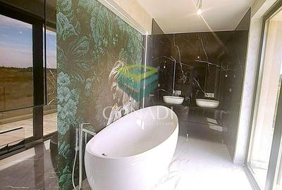 Duplex cu 4 camere cu Canalizare în Pipera - 9