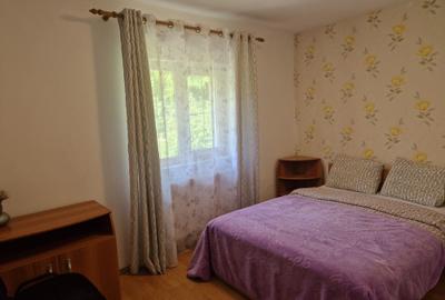 Casă cu 4 camere în Colibița - 4