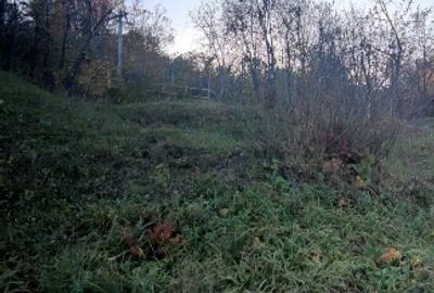 Teren Construcții intravilan de 5400 mp, în Drăgăneasa - 11