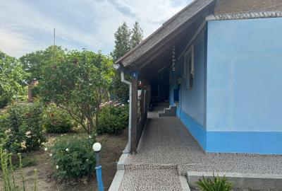 Casă cu 4 camere în Jurilovca - 4