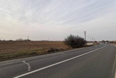 Teren agricol extravilan de 8400 mp, în Tămășeu - 4