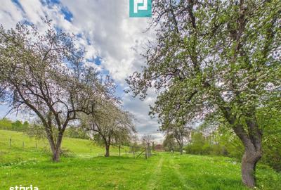 Casă cu 2 camere cu Teren 17681 Mp în Almaș - 10