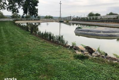 Teren de 11600 mp, în Viile Satu Mare - 3