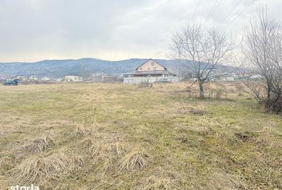 Teren de 3000 mp, în Aninoasa - 5