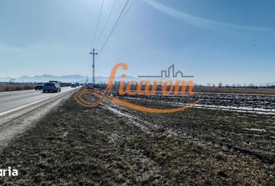 Teren de 11800 mp, în Stupini - 4