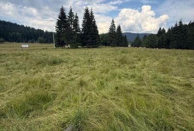 Teren Construcții intravilan de 1500 mp, în Comandău - 14