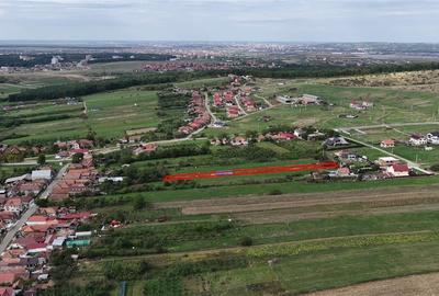 Teren Construcții intravilan de 2000 mp, în Betfia - 1