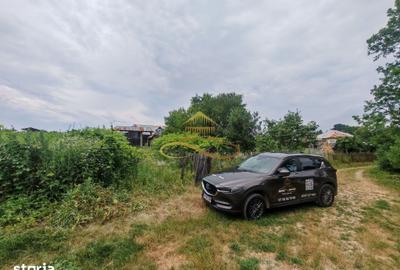 Casă cu 4 camere cu Teren 3300 Mp în Blăgești