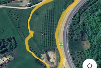 Teren de 12300 mp, în Crainimăt - 8