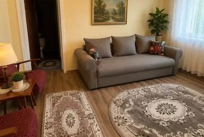 Apartament cu 2 camere decomandat în Ultracentral - 5