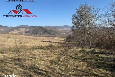 Teren de 28900 mp, în Vințu de Jos - 4