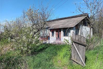 Teren de 1246 mp, în Horlești