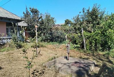 Casă individuală cu 4 camere cu Teren 3370 Mp în Central - 5