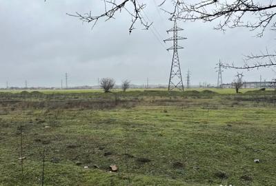 Teren de 21200 mp, în Lumina - 2