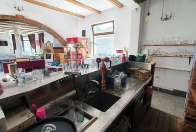 Spațiu comercial, de 767 mp, în Băile Felix - 5