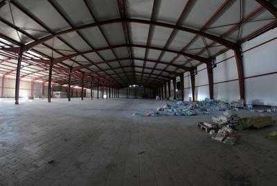 Spațiu industrial, de 11,600 mp, în Plopșoru - 11