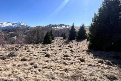 Teren de 9897 mp, în Lunca Vișagului - 2