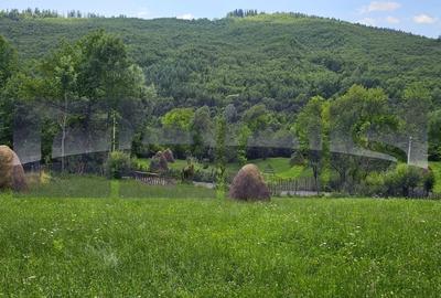 Teren de 2200 mp, în Valea Doftanei