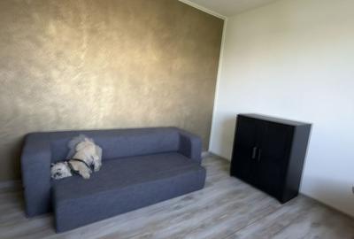 Apartament cu 2 camere decomandat în Vest - 3