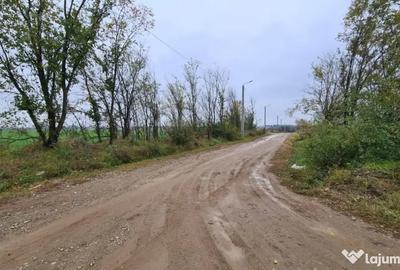 Teren de 3000 mp, în Brănești - 3
