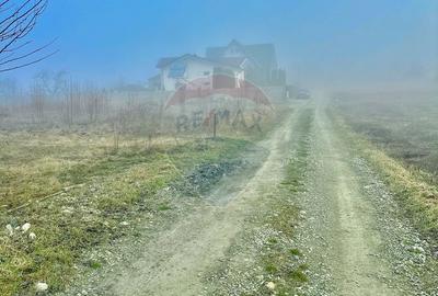 Teren de 500 mp, în Girov - 3