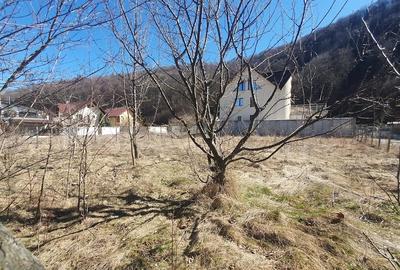 Teren de 531 mp, în Bunloc - 4
