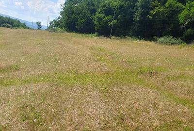 Teren de 7200 mp, în Someș-Odorhei - 1