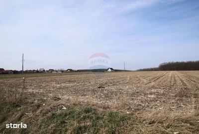Teren de 9740 mp, în Bosanci - 3