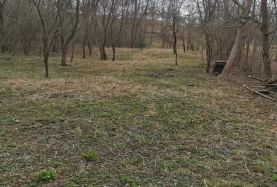 Casă cu 2 camere cu Teren 1960 Mp în Teișani - 2