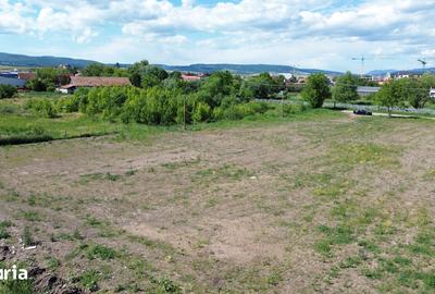 Teren de 5000 mp, în Lunca Oltului - 5