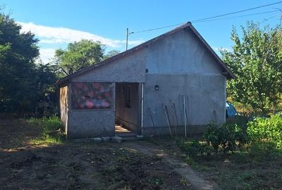 Casă cu 3 camere în Dorobanțu