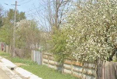 Casă cu 1 camere cu Teren 6250 Mp în Filipești - 2