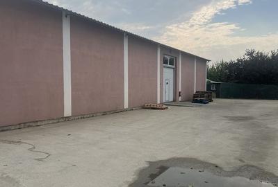 Spațiu comercial, de 500 mp, în Afumați - 3