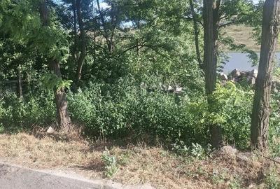Casă cu Teren 900 Mp în Central