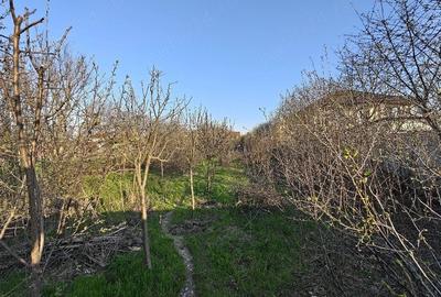 Teren de 600 mp, în Bucov
