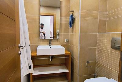 Apartament cu 2 camere semidecomandat, mobilat în P-ța Alba Iulia - 9