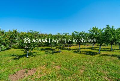 Casă individuală cu 5 camere cu Canalizare în Felnac - 7
