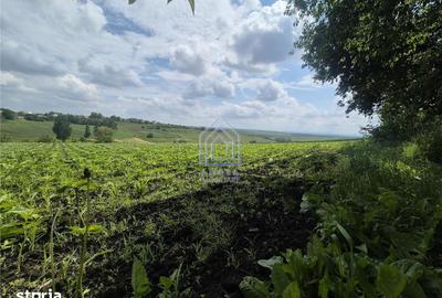 Teren de 2000 mp, în Moara - 5