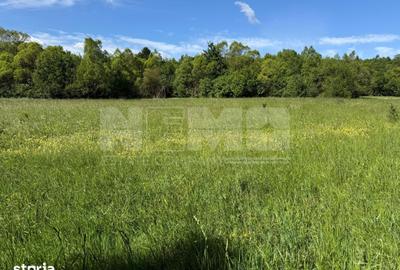 Teren de 2300 mp, în Horodnic - 1